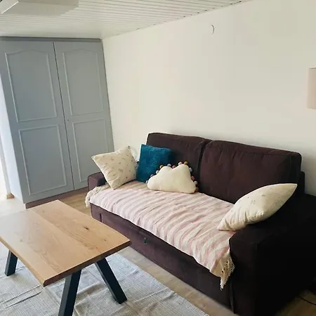 Apartment Du Chateau *