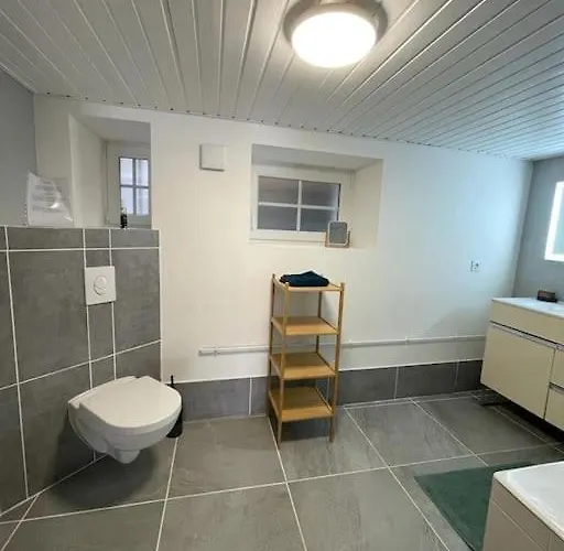 Du Chateau Apartmán Lutzelbourg